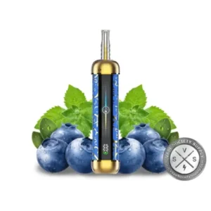 Blueberry Mint Olit Hookalit Pro 60K Disposable Vape- 30mL