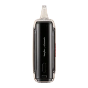 Raspberry Limeade Raz DC25000 Disposable Vape - 5% Nic