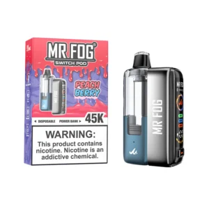 Peach Berry Mr Fog Switch Disposable Pod Kit