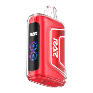 Watermelon Ice Raz Vape - TN9000
