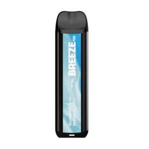Blueberry Mint - Breeze Pro 2000 Puffs - 5% NIC - Disposable Vape