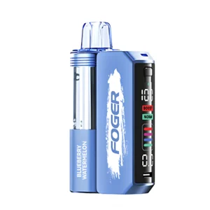Blueberry Watermelon Foger Switch Pro Kit – 30,000 Puffs