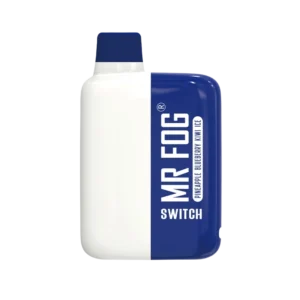 Pineapple Blueberry Kiwi Ice MR Fog Switch 5500