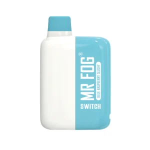 Blue Raspberry Slushy Mr Fog Switch