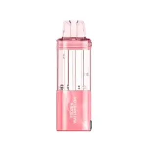 Frozen Watermelon Foger Switch Pro 30K Puffs Disposable (Only Pod)